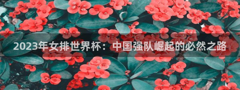 预选赛世界杯:2023年女排世界杯:中国强队崛起的必然之路