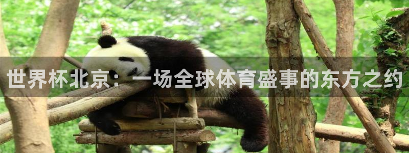 葡萄牙世界杯赛程：世界杯北京：一场全球体育盛事的东方之约