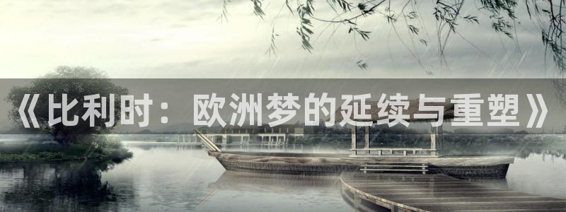 世界杯亚洲区预选赛积分榜：《比利时：欧洲梦的延续与重塑》