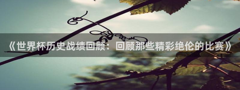 世界杯在线直播入口：《世界杯历史战绩回顾：回顾那些精彩绝伦的比赛》