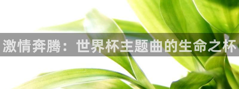 世界杯比赛:激情奔腾:世界杯主题曲的生命之杯