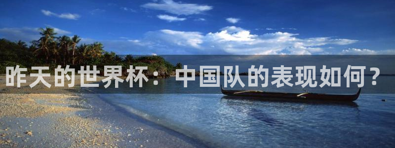 世界杯直播免费观看：昨天的世界杯：中国队的表现如何？