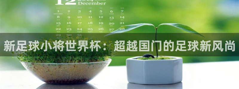 世界杯赛程表：新足球小将世界杯：超越国门的足球新风尚