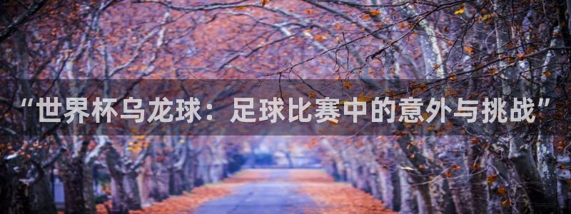 世界杯直播在线观看入口：“世界杯乌龙球：足球比赛中的意外与挑战”