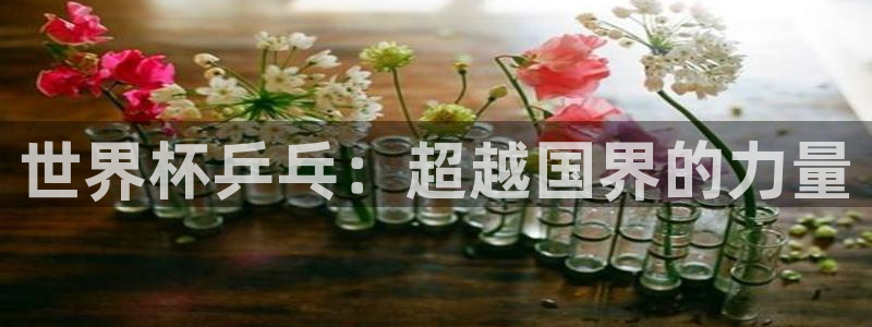 世界杯比赛赛程：世界杯乒乓：超越国界的力量