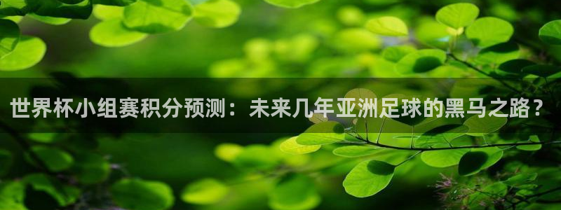 2026世预赛赛程：世界杯小组赛积分预测：未来几年亚洲足球的黑马之路？