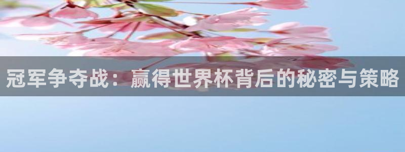 世界杯决赛预测:冠军争夺战:赢得世界杯背后的秘密与策略