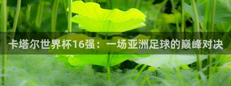 世界杯赛程表：卡塔尔世界杯16强：一场亚洲足球的巅峰对决