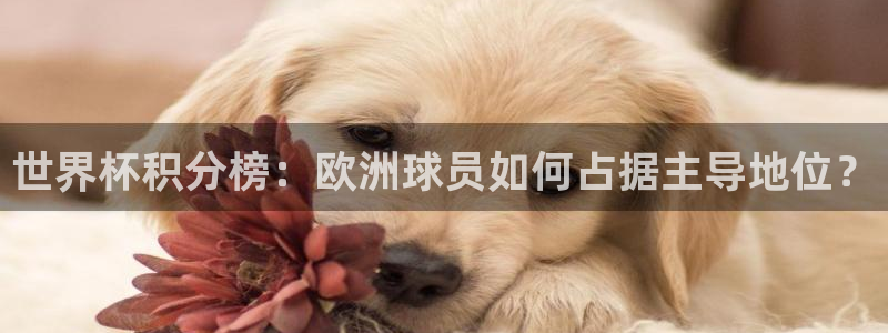 2026世界杯官网：世界杯积分榜：欧洲球员如何占据主导地位？